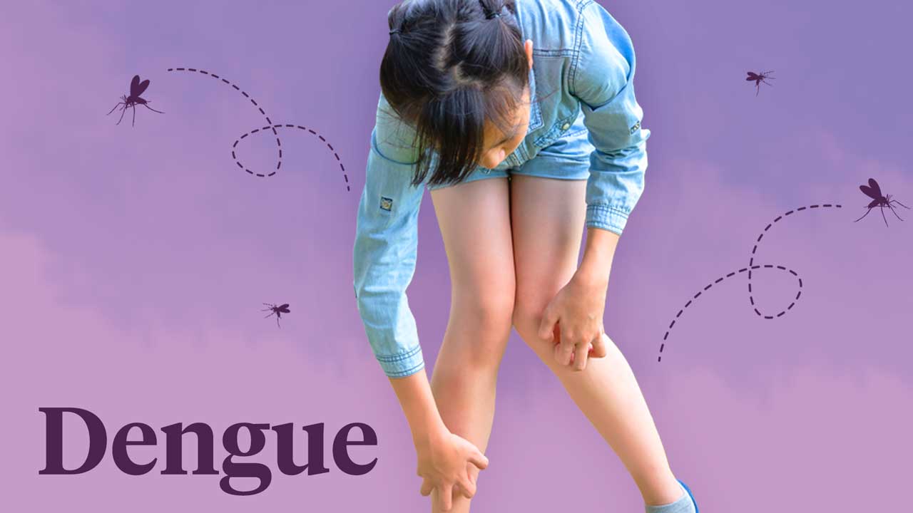 Cover image for: What is Dengue?