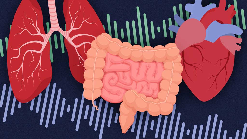 Cover image for: Lung, Chest and Bowel Sounds Assessment Guide