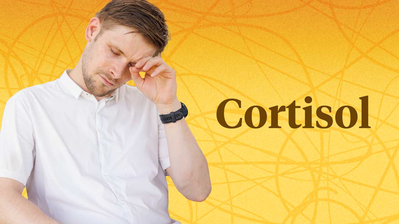 Cover image for: Cortisol Production and Use by the Body