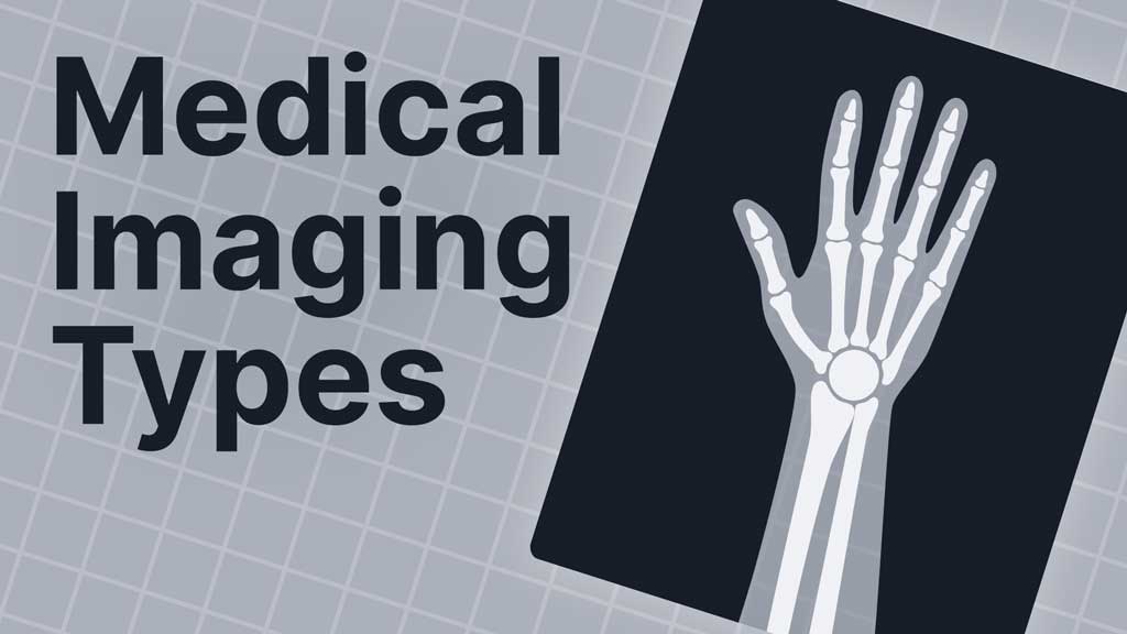 Cover image for: Medical Imaging Types and Modalities