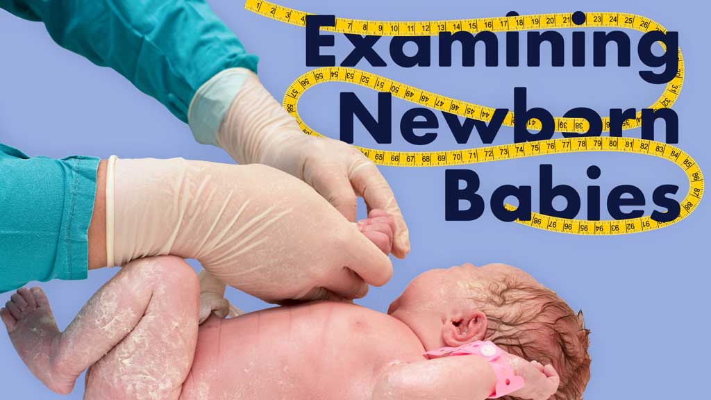 Image for Examination of the Newborn
