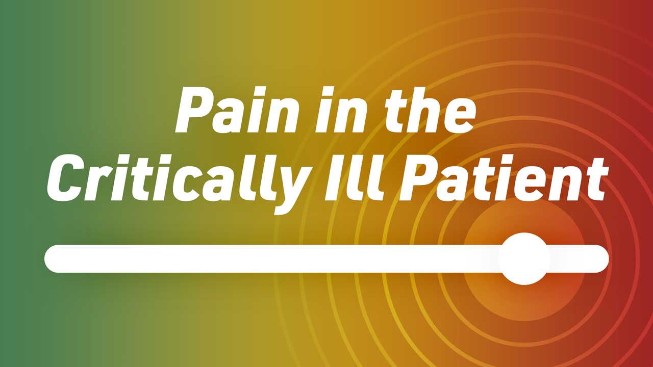Cover image for: Pain Assessment in the Critically Ill Patient