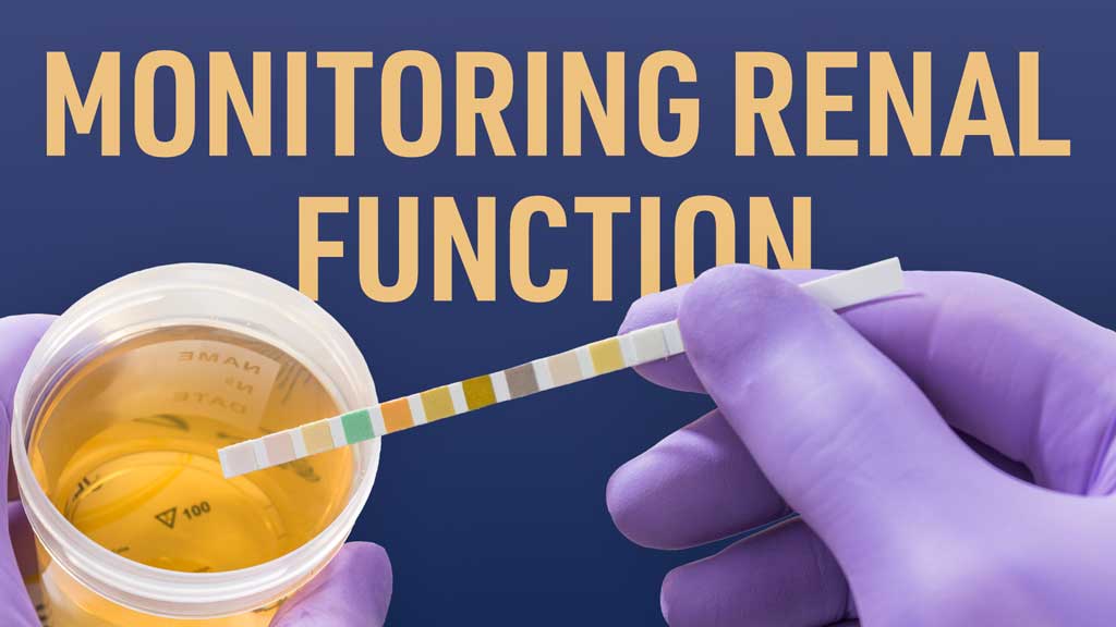 Cover image for: Principles of Monitoring Renal Function