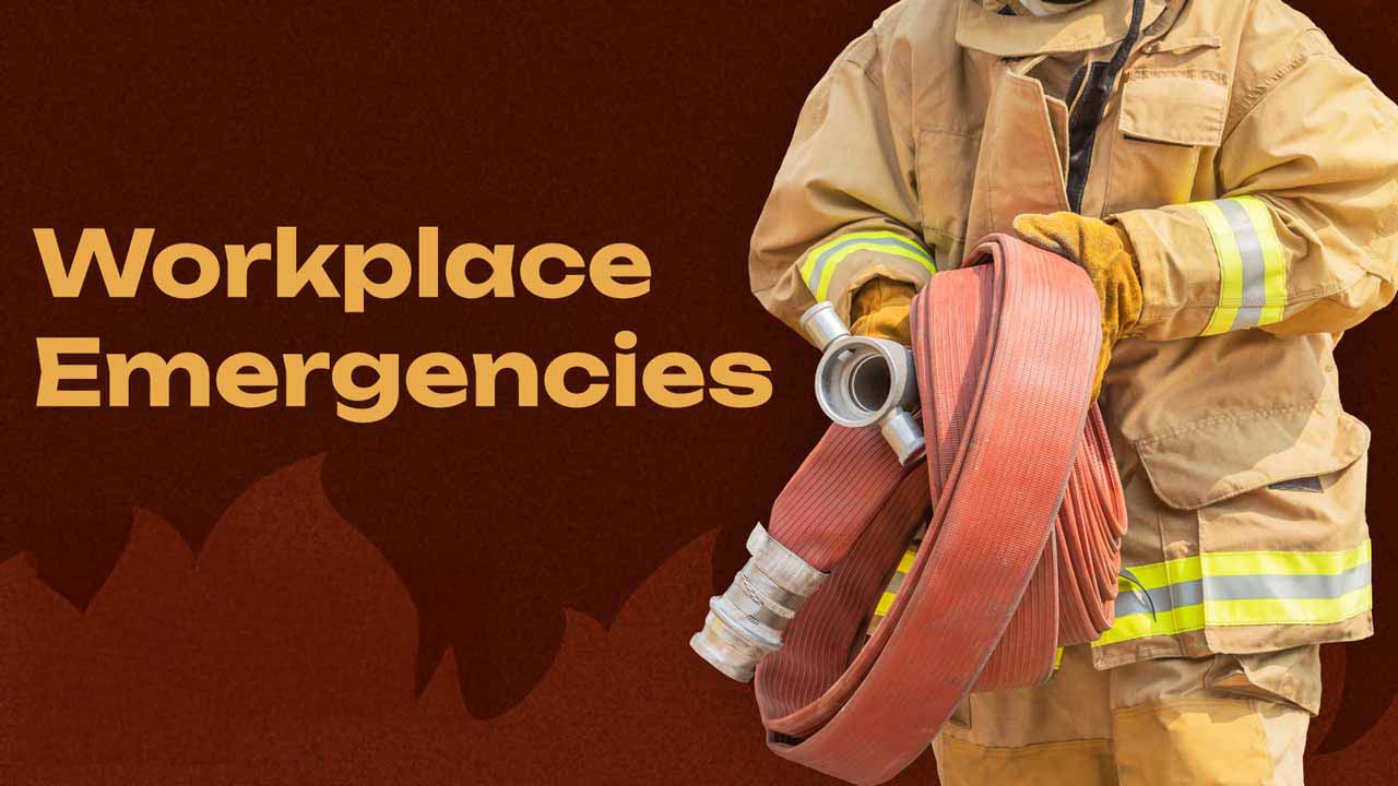 Cover image for: Fire, Security and Workplace Emergencies
