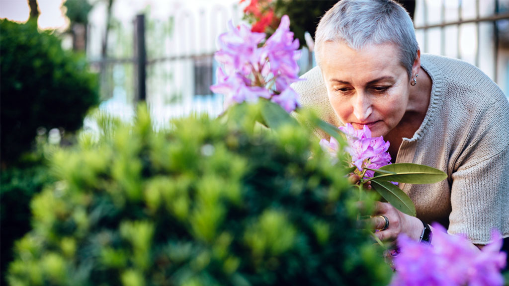 Image for Sensory Loss in Older Adults