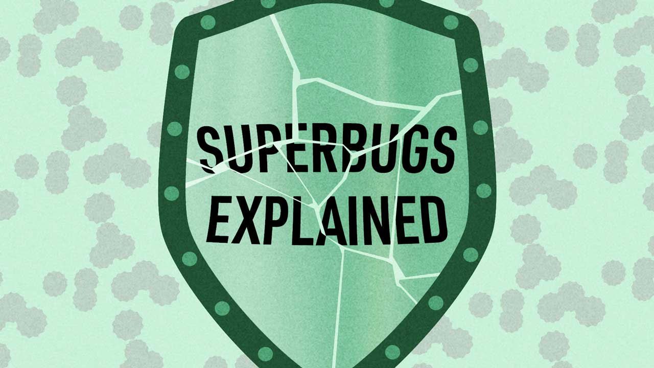 Cover image for: Superbugs Explained
