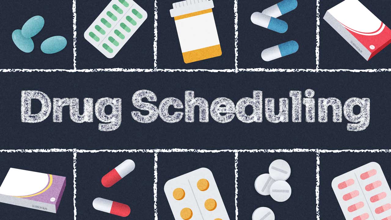 Image for Drug Scheduling: Understanding the Basics
