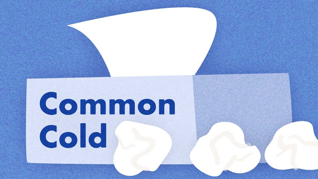 Cover image for: The Common Cold: Just How Common is it?