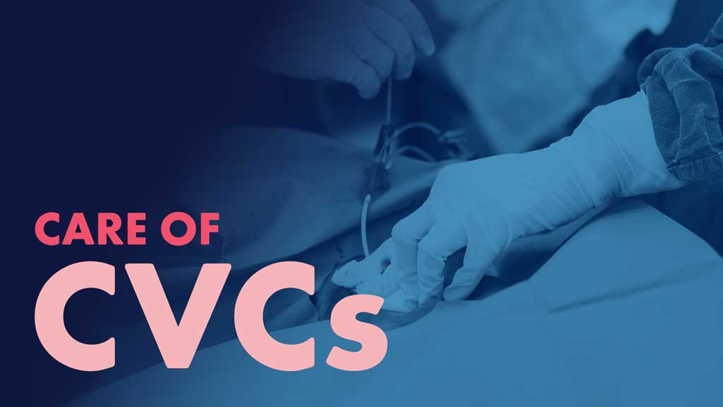 Cover image for: Care of Central Venous Catheters