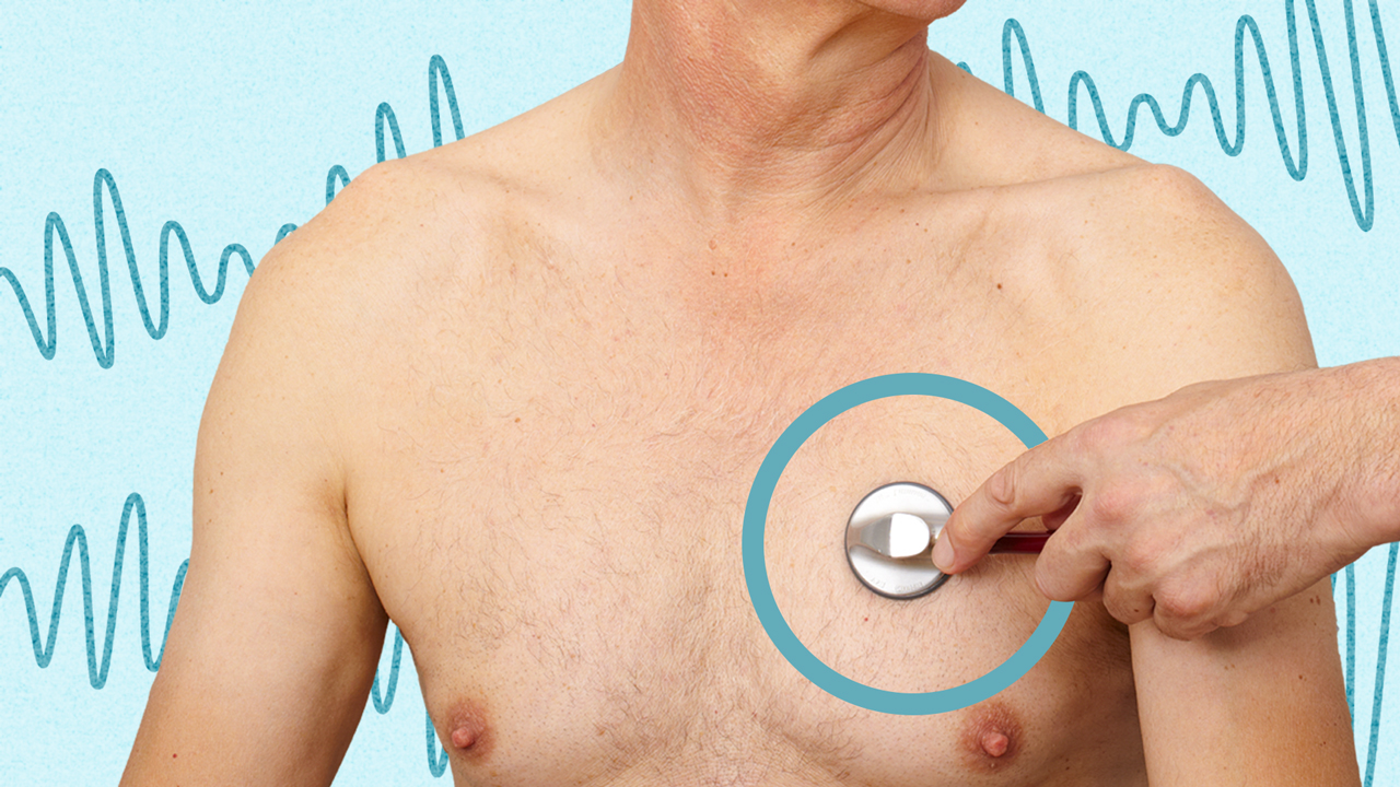 Cover image for: A Basic Guide to Chest Auscultation