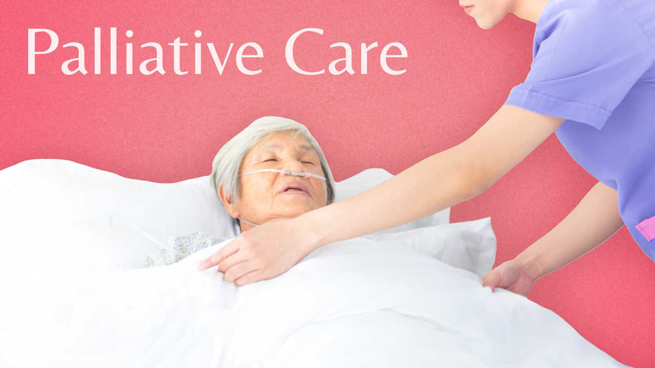 Cover image for: A Palliative Approach to Care