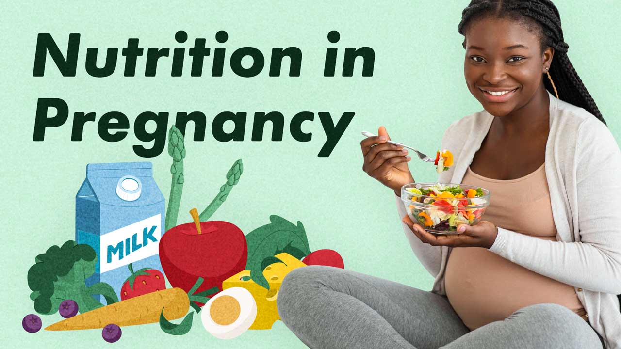 Cover image for: Nutrition in Pregnancy