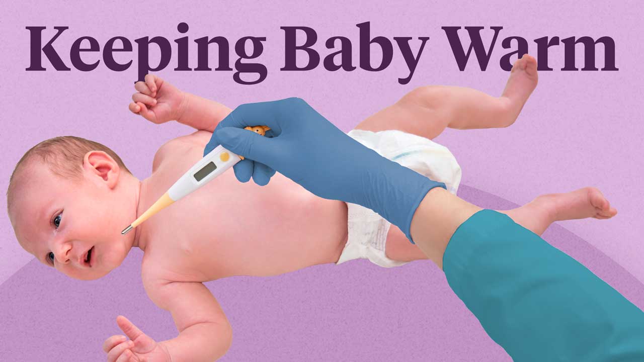 Cover image for: Keeping Baby Warm: Thermoregulation in the Neonate
