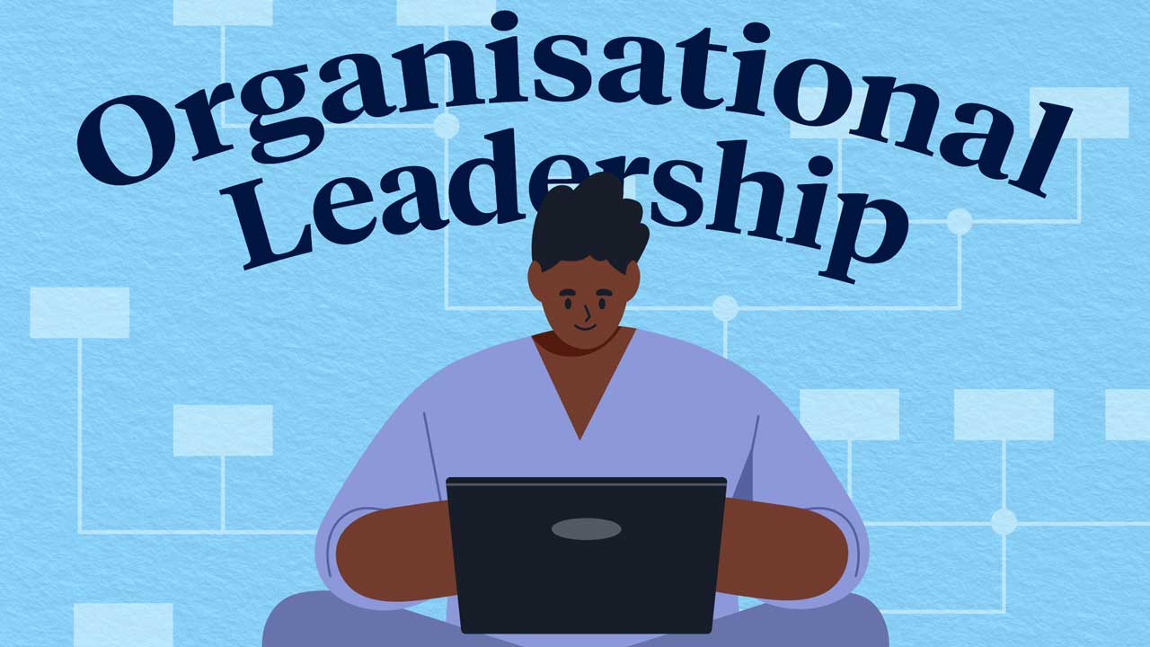 Cover image for: Organisational Leadership in Healthcare: What is it?