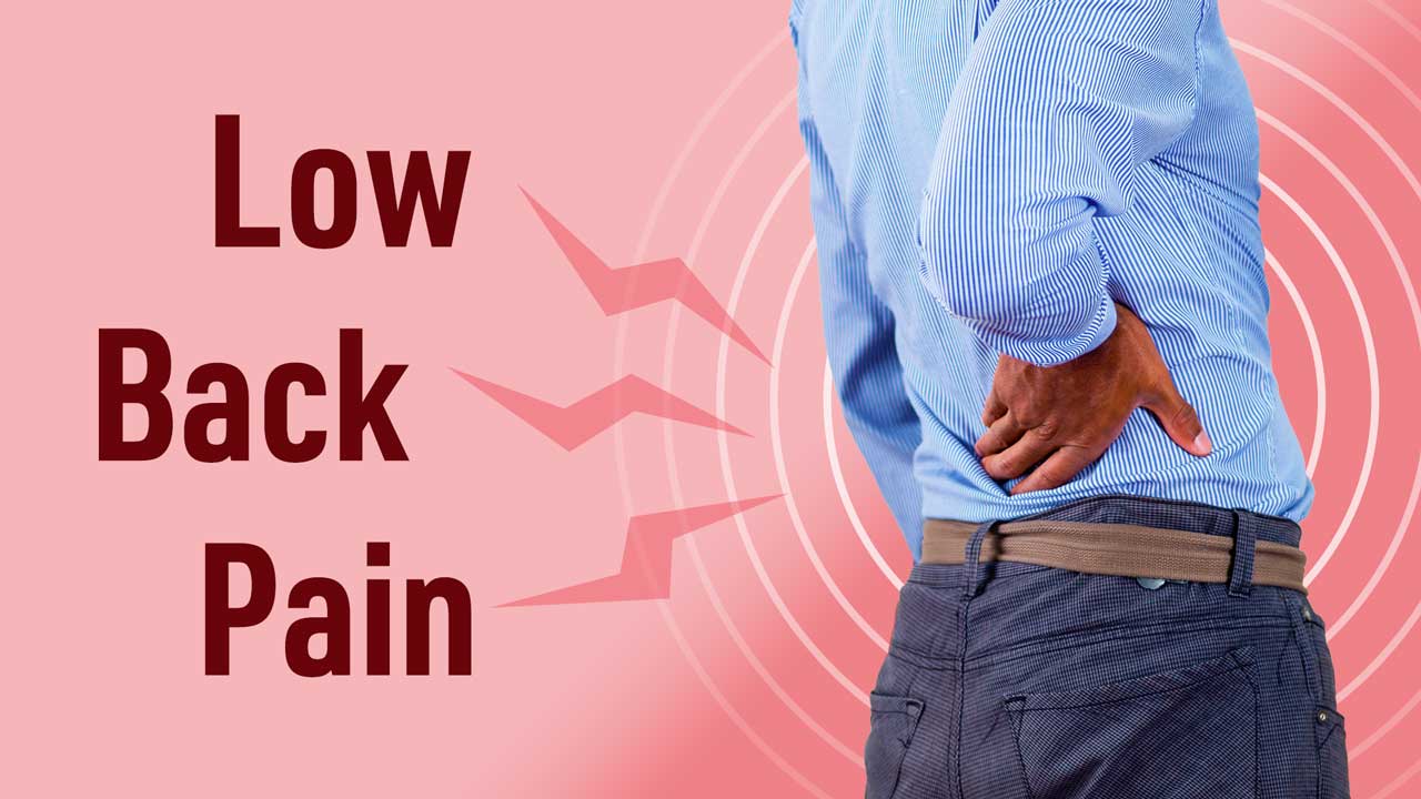 Cover image for: Investigating and Managing Low Back Pain