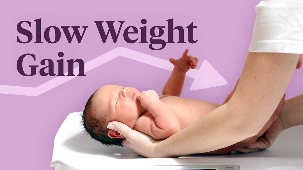 Image for Understanding and Assessing Slow Weight Gain