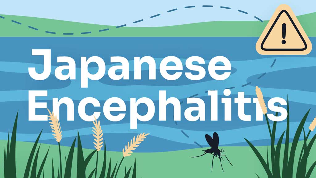 Cover image for: Japanese Encephalitis