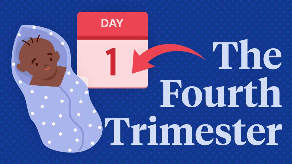 Cover image for: The Fourth Trimester
