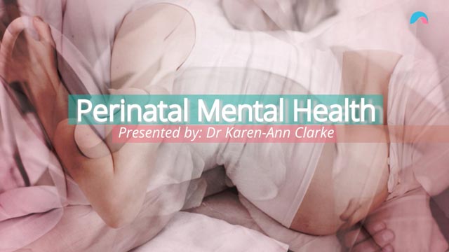 Cover image for: Perinatal Mental Health