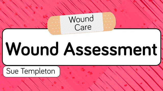 Image for Wound Assessment