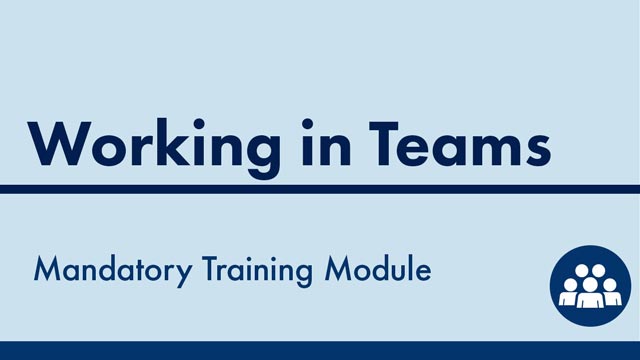 Cover image for: Working in Teams