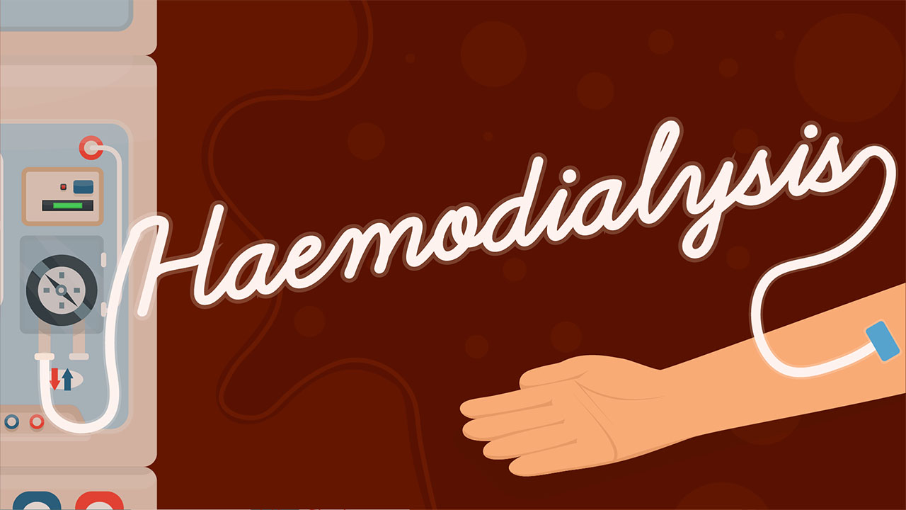 Image for Haemodialysis