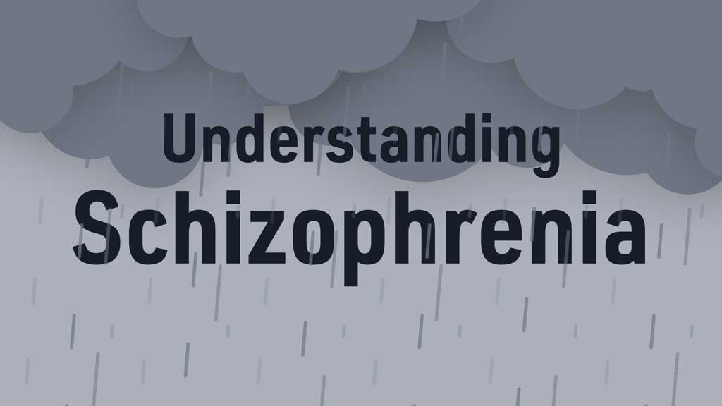 Image for Understanding Schizophrenia