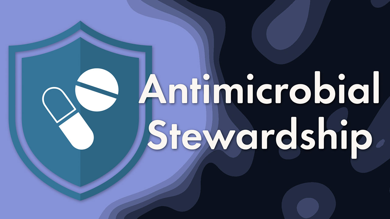 Image for Antimicrobial Stewardship (AMS)