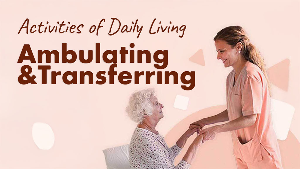 Cover image for: Supporting Activities of Daily Living: Ambulating and Transferring
