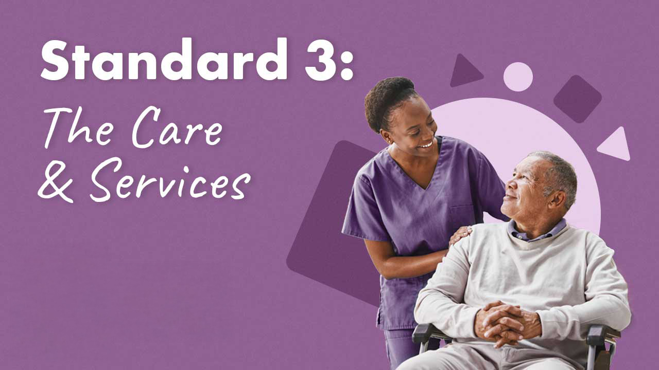Cover image for: Standard 3: The Care and Services