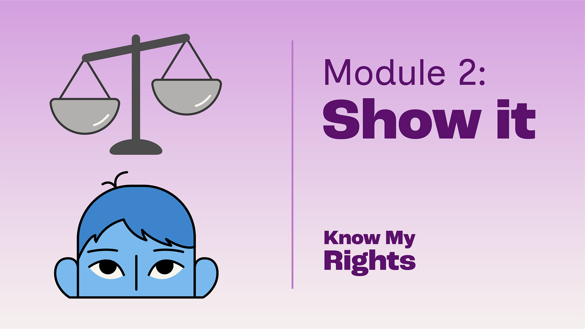 Image for Know My Rights: Show It (for Social and Healthcare Professionals)