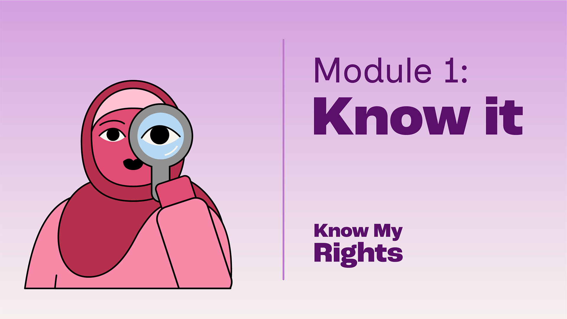Image for Know My Rights: Know It (for Family and Carers)