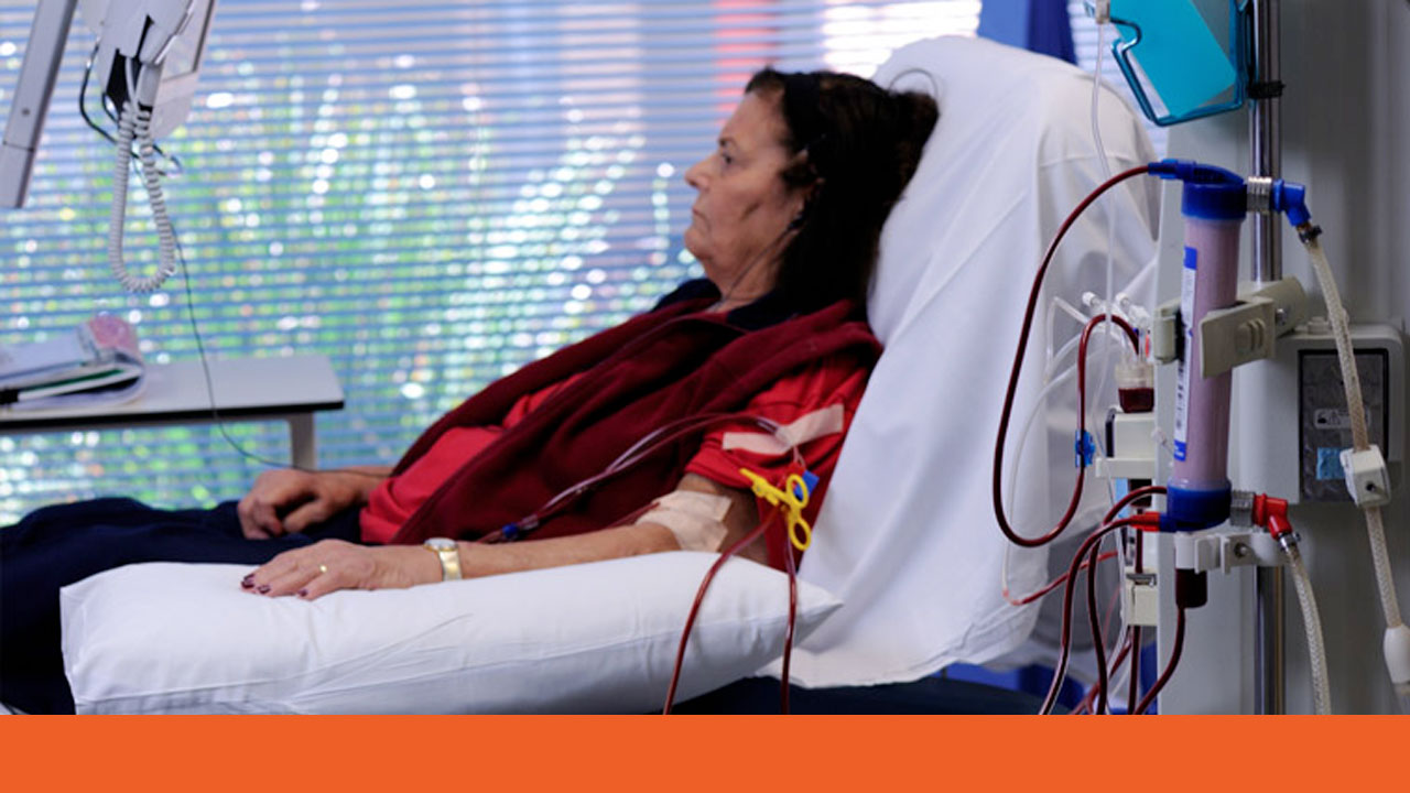 Image for Patient Blood Management: Chronic Kidney Disease